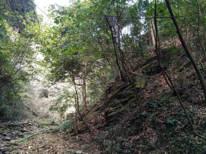 小熊救援